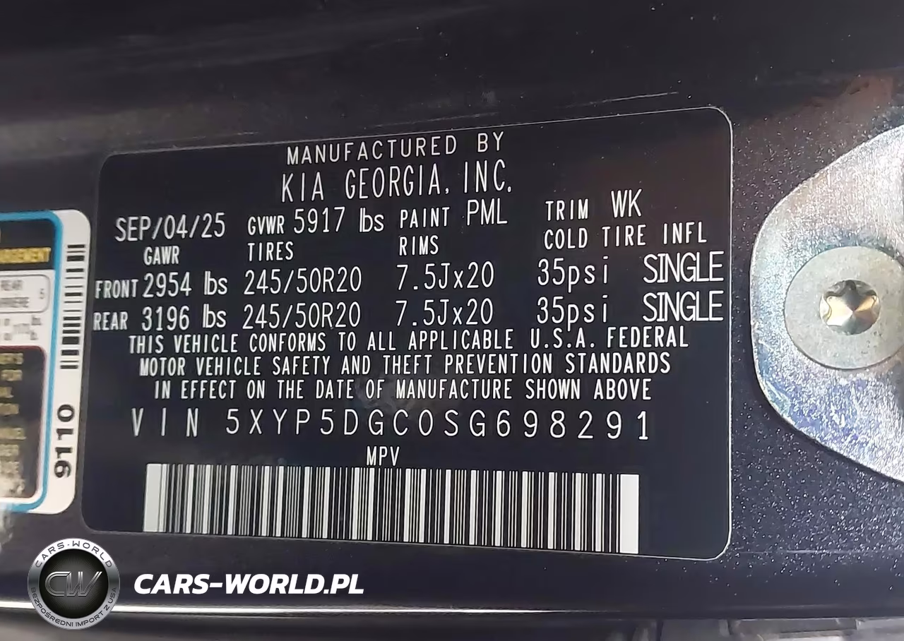 2025 Kia Telluride Sx X-Line VIN:5XYP5DGC0SG698291 - 9