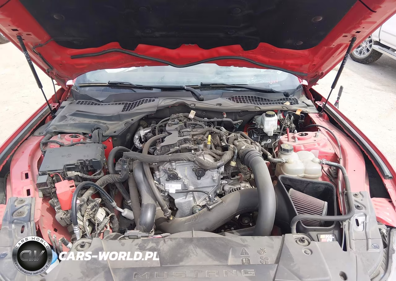 2024 Ford Mustang Ecoboost Fastback VIN:1FA6P8TH8R5107017 - 10