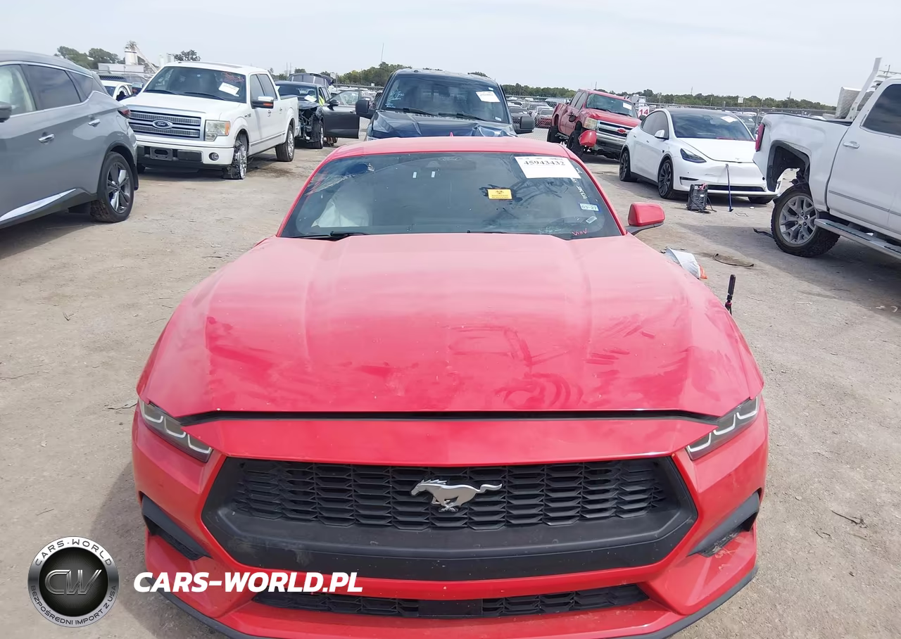 2024 Ford Mustang Ecoboost Fastback VIN:1FA6P8TH8R5107017 - 11
