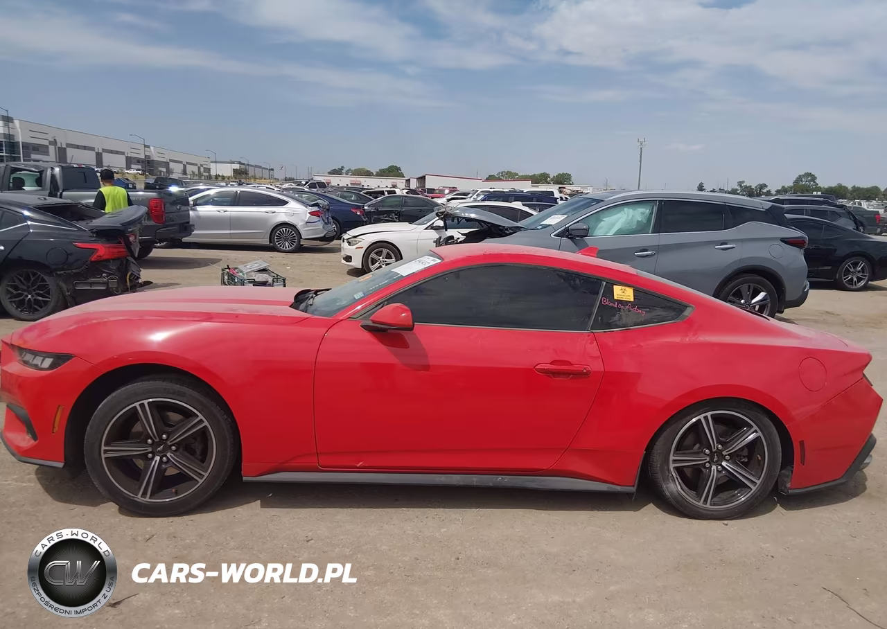 2024 Ford Mustang Ecoboost Fastback VIN:1FA6P8TH8R5107017 - 13