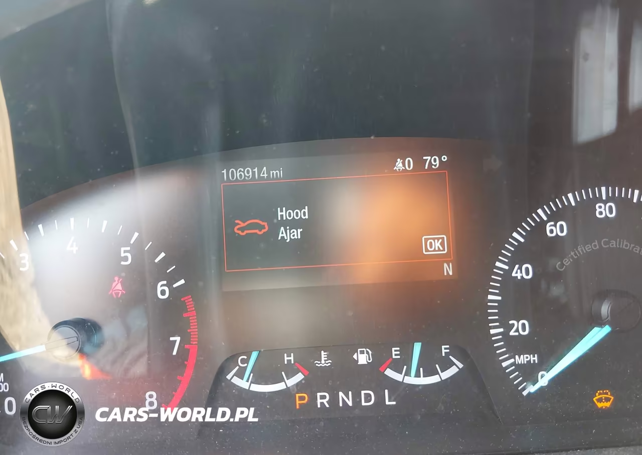 2021 Ford Police Interceptor Utility VIN:1FM5K8AB1MGA64863 - 15