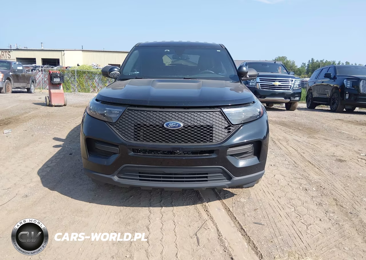 2020 Ford Police Interceptor Utility VIN:1FM5K8AB1LGD09384 - 12