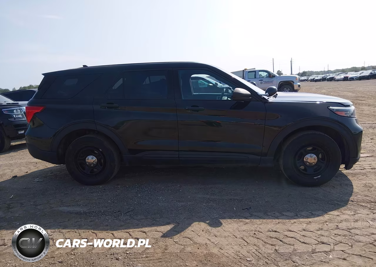 2020 Ford Police Interceptor Utility VIN:1FM5K8AB1LGD09384 - 13
