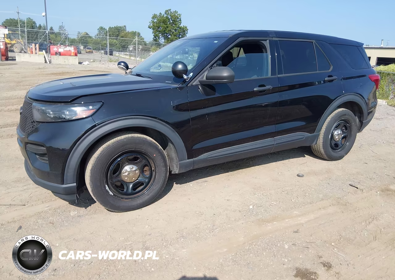 2020 Ford Police Interceptor Utility VIN:1FM5K8AB1LGD09384 - 2