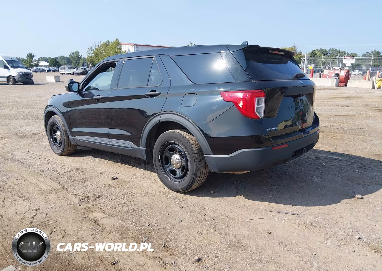 2020 Ford Police Interceptor Utility VIN:1FM5K8AB1LGD09384 - 3