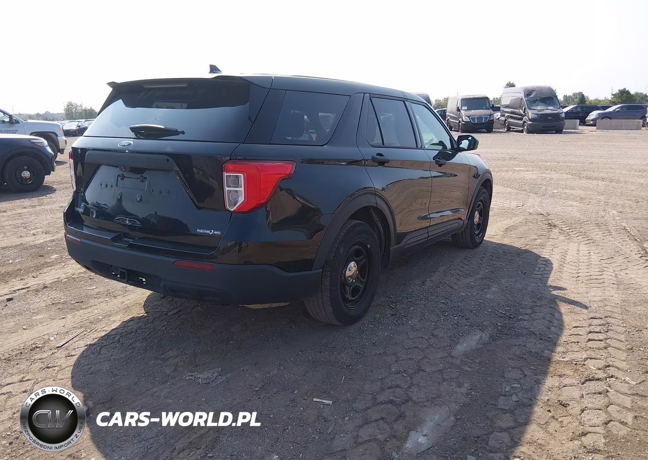 2020 Ford Police Interceptor Utility VIN:1FM5K8AB1LGD09384 - 4