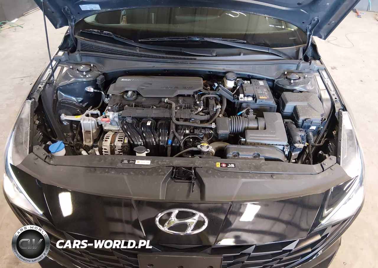 2023 Hyundai Elantra Sel VIN:KMHLS4AG1PU508003 - 10