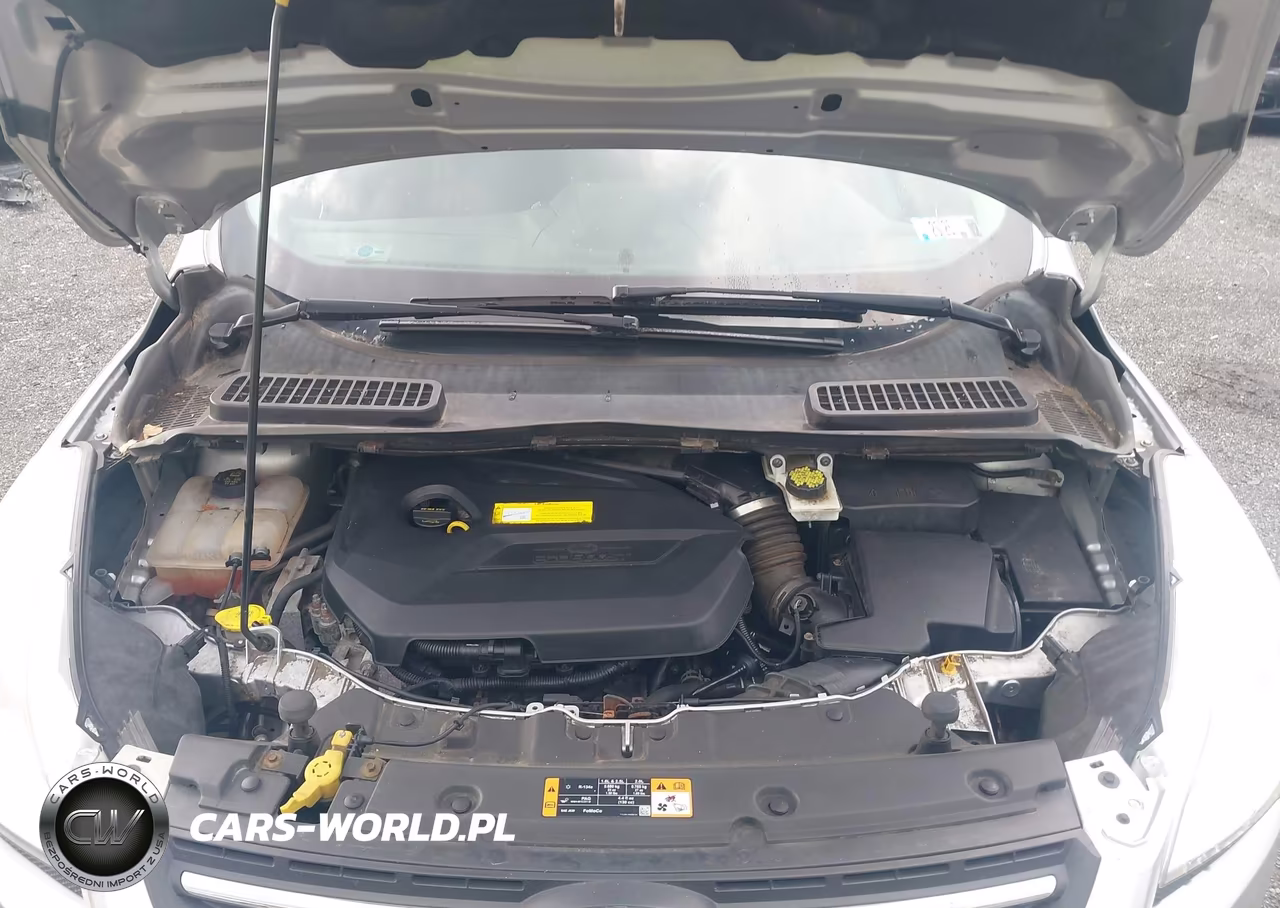 2016 Ford Escape Se VIN:1FMCU9GX5GUB19007 - 10