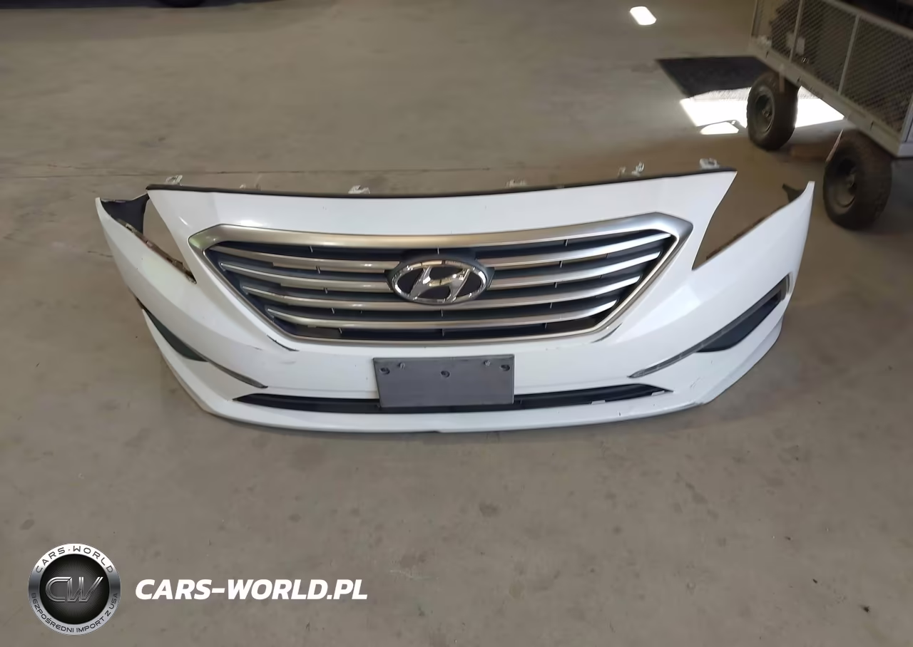 2015 Hyundai Sonata Se VIN:5NPE24AF5FH024915 - 12