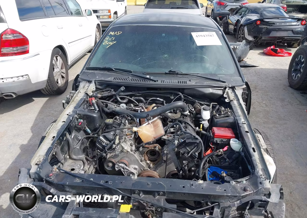2003 Ford Mustang Gt VIN:1FAFP42XX3F305066 - 10