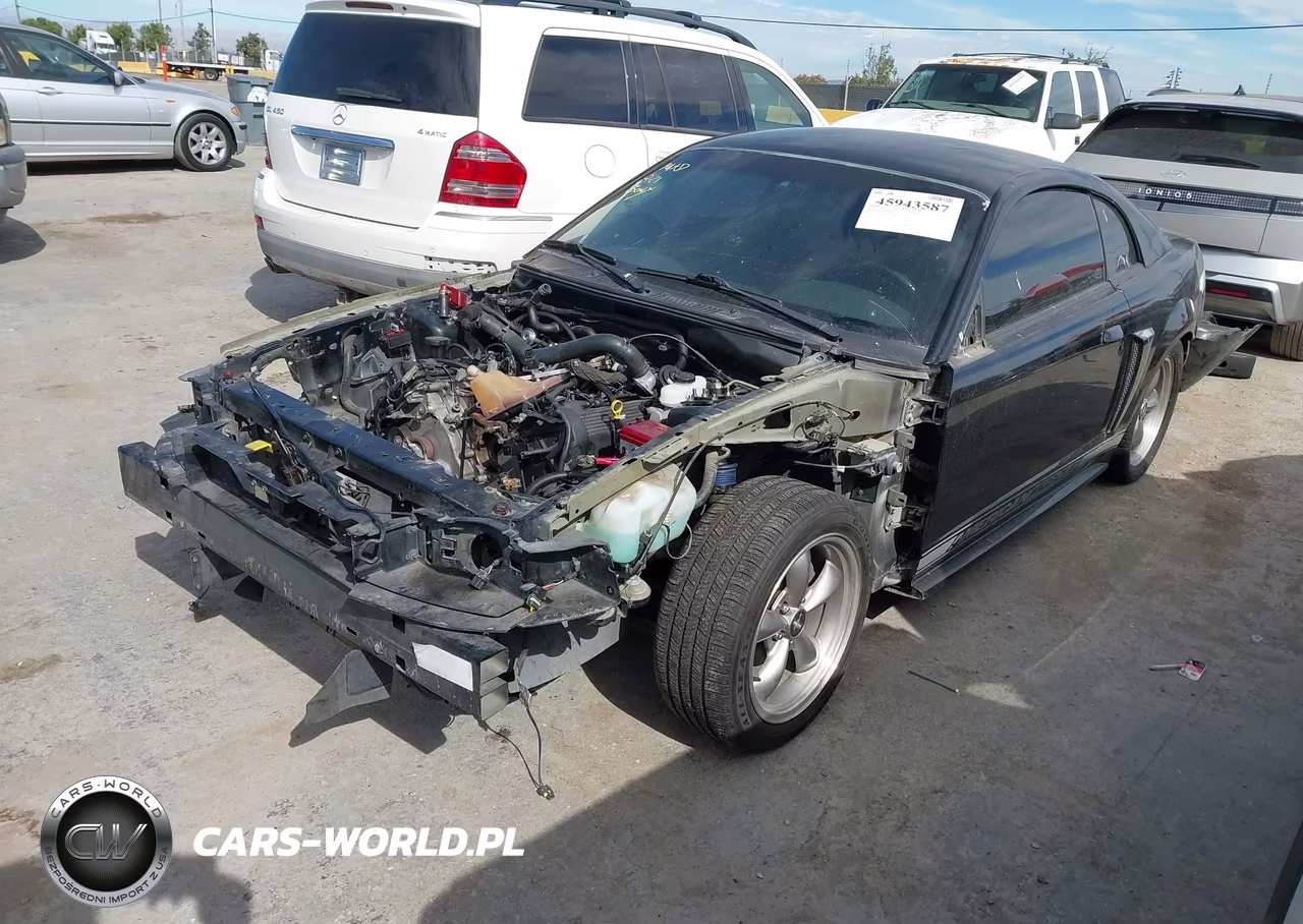 2003 Ford Mustang Gt VIN:1FAFP42XX3F305066 - 2