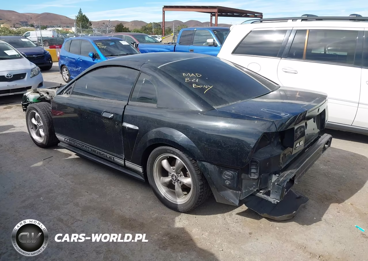 2003 Ford Mustang Gt VIN:1FAFP42XX3F305066 - 3