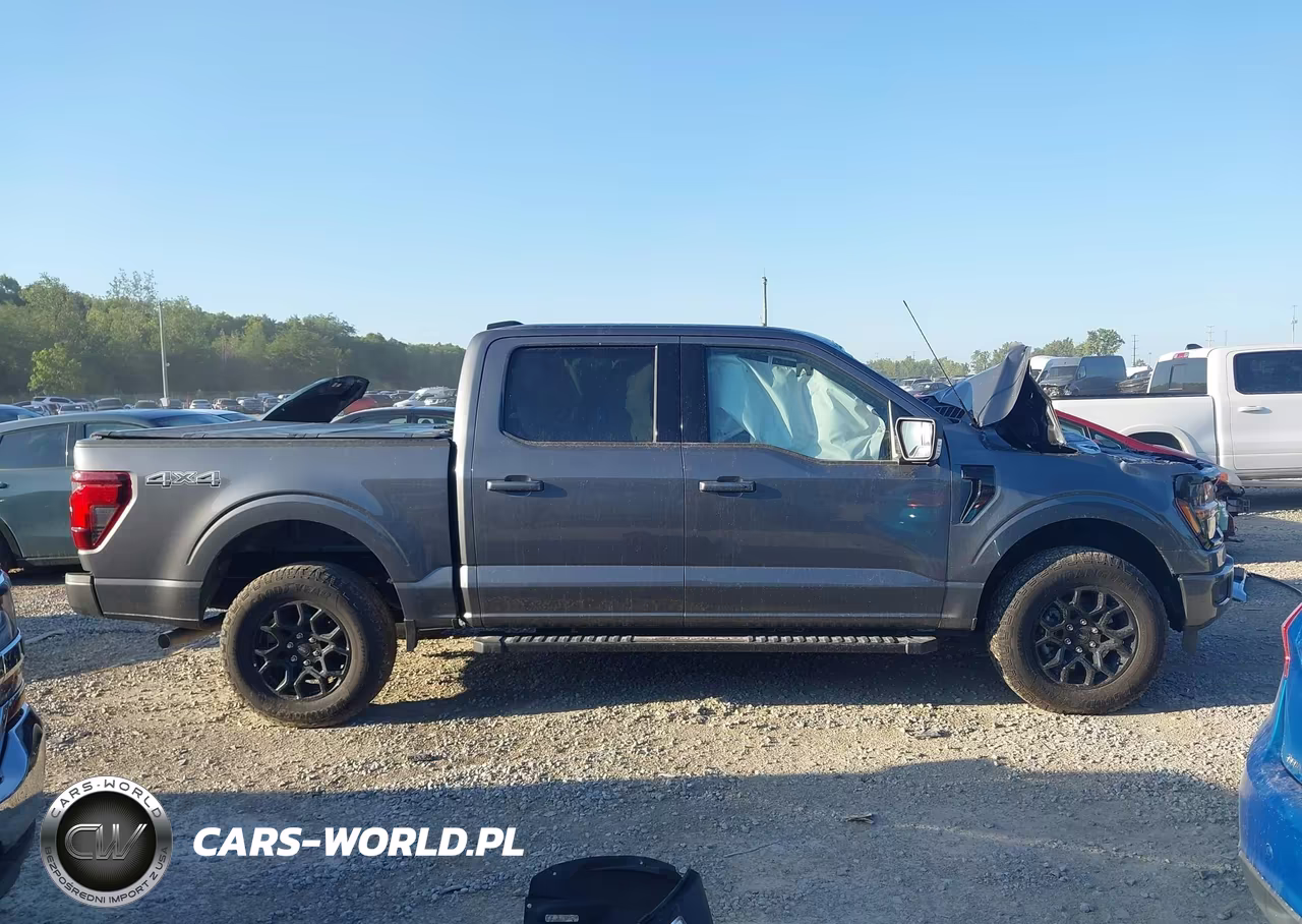 2024 Ford F-150 Xlt VIN:1FTEW3LP2RKF10477 - 12