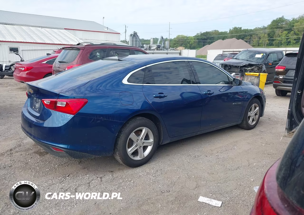 2019 Chevrolet Malibu 1Ls VIN:1G1ZB5STXKF204285 - 13