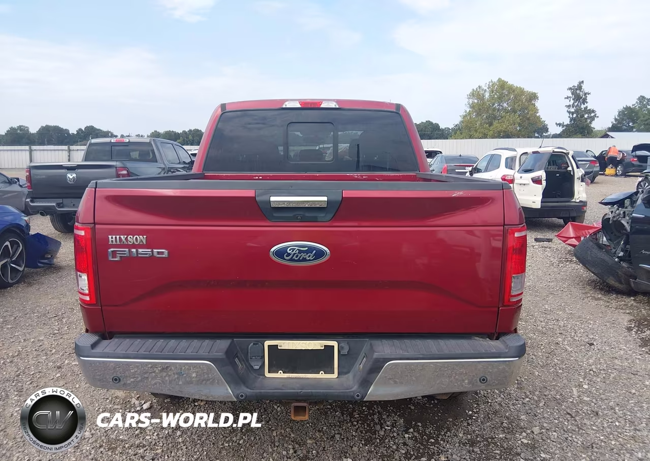 2015 Ford F-150 Xlt VIN:1FTEW1EGXFKD53102 - 16