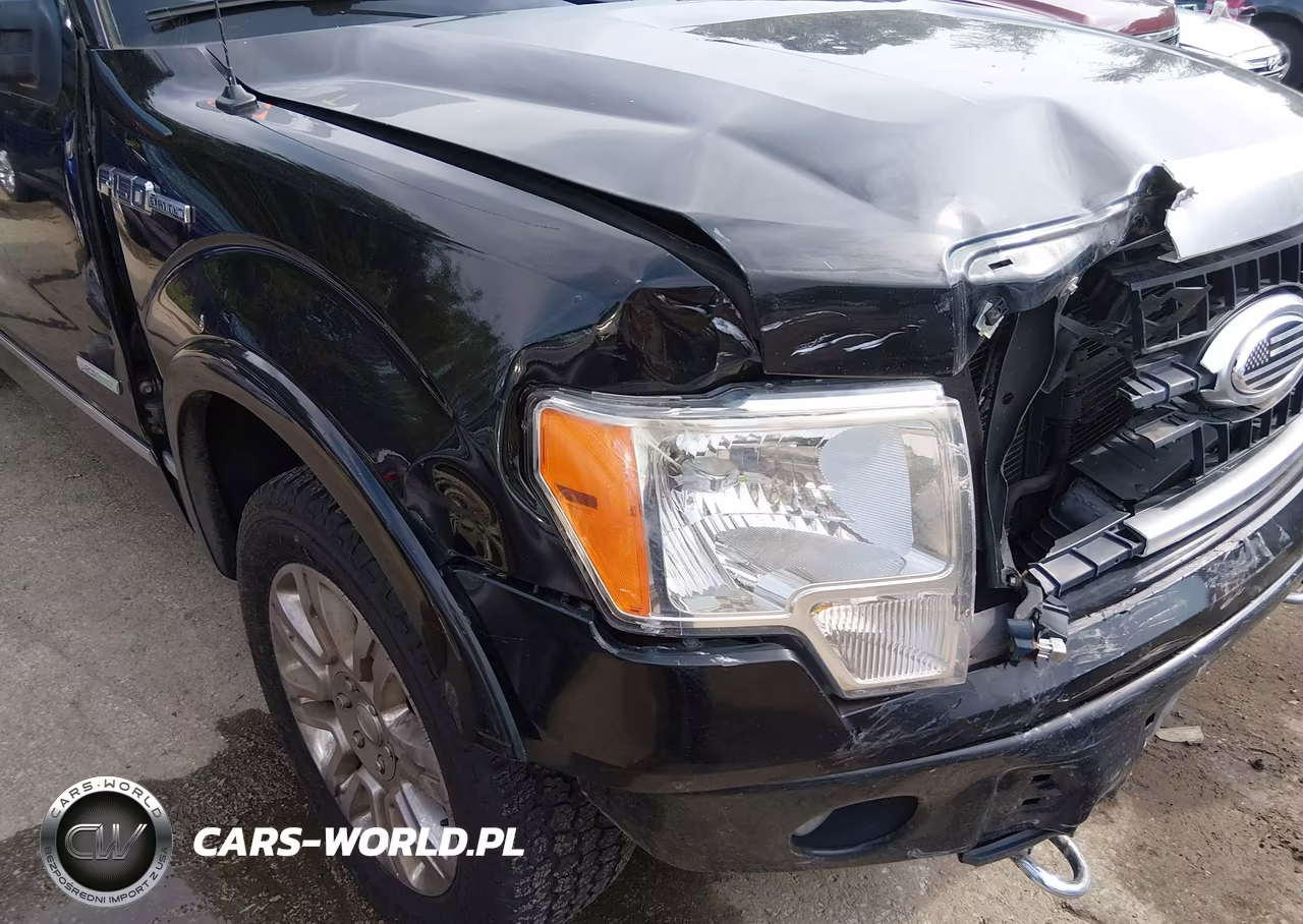 2011 Ford F-150 Platinum VIN:1FTFW1ET0BFD07248 - 12