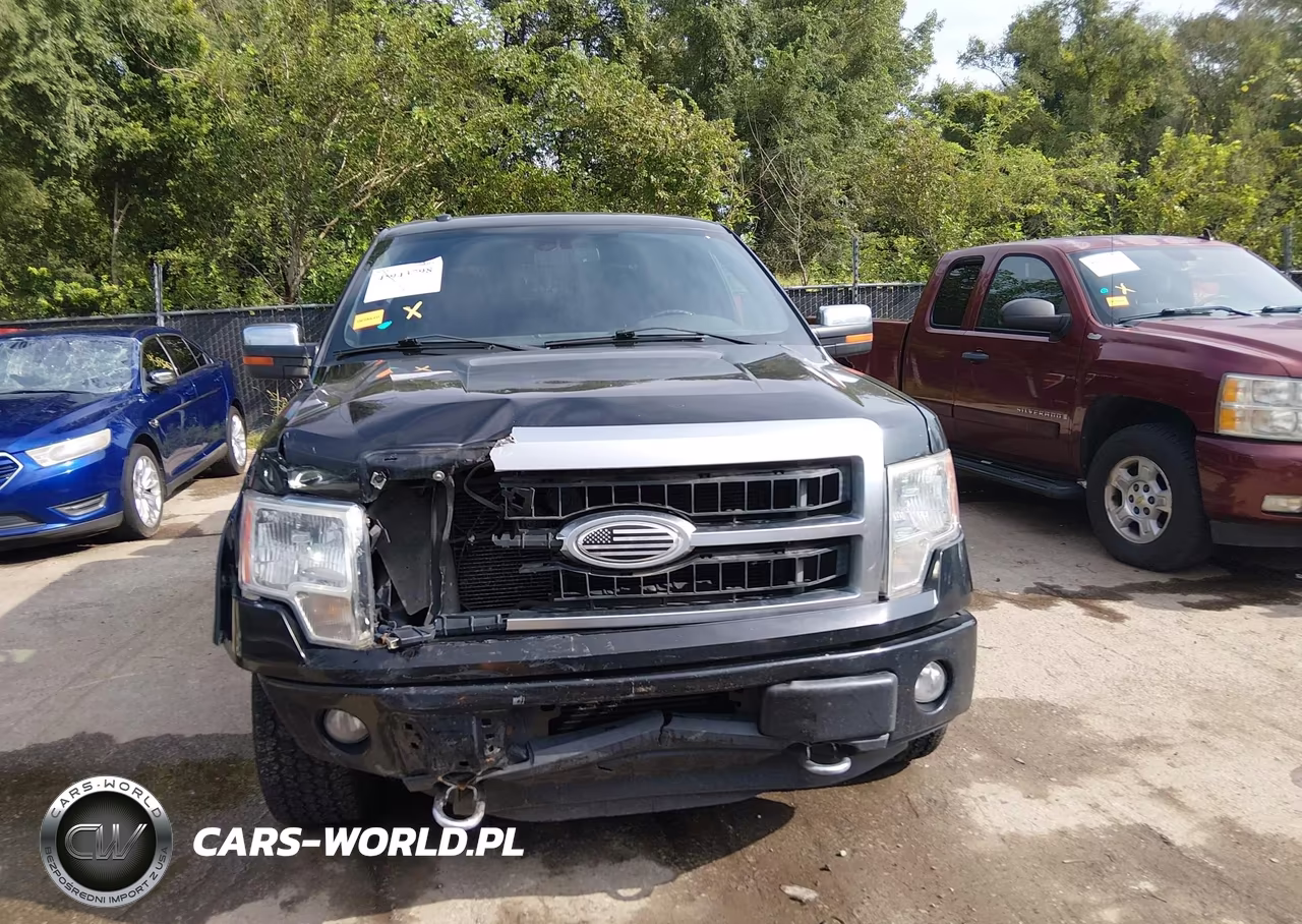 2011 Ford F-150 Platinum VIN:1FTFW1ET0BFD07248 - 13