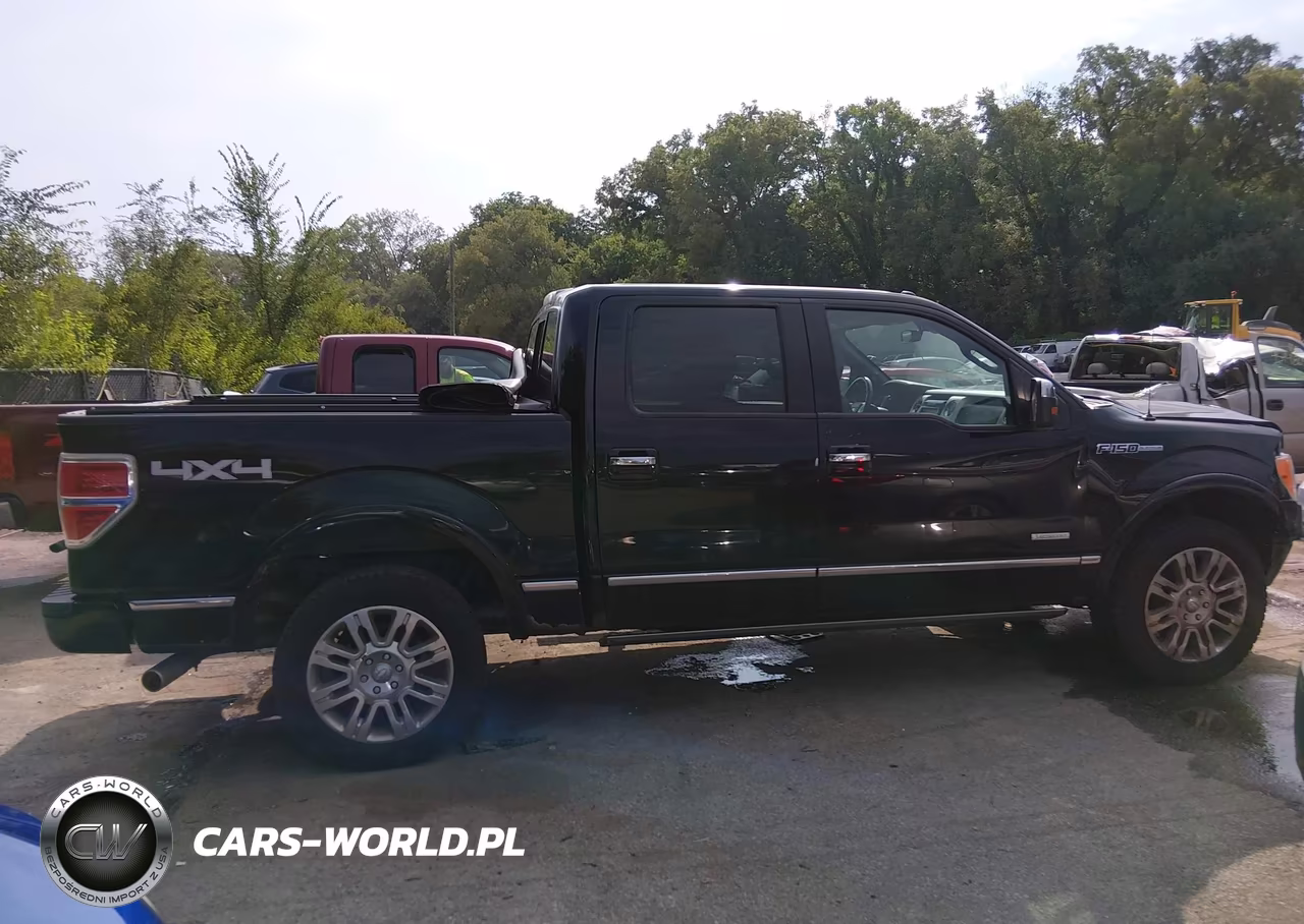 2011 Ford F-150 Platinum VIN:1FTFW1ET0BFD07248 - 14