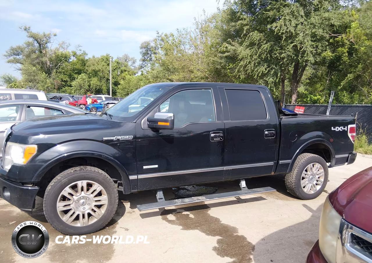 2011 Ford F-150 Platinum VIN:1FTFW1ET0BFD07248 - 15