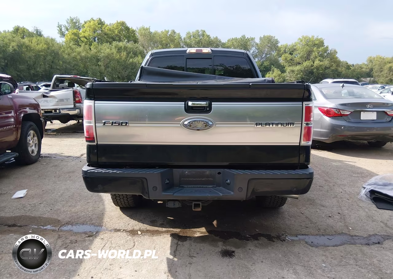 2011 Ford F-150 Platinum VIN:1FTFW1ET0BFD07248 - 17