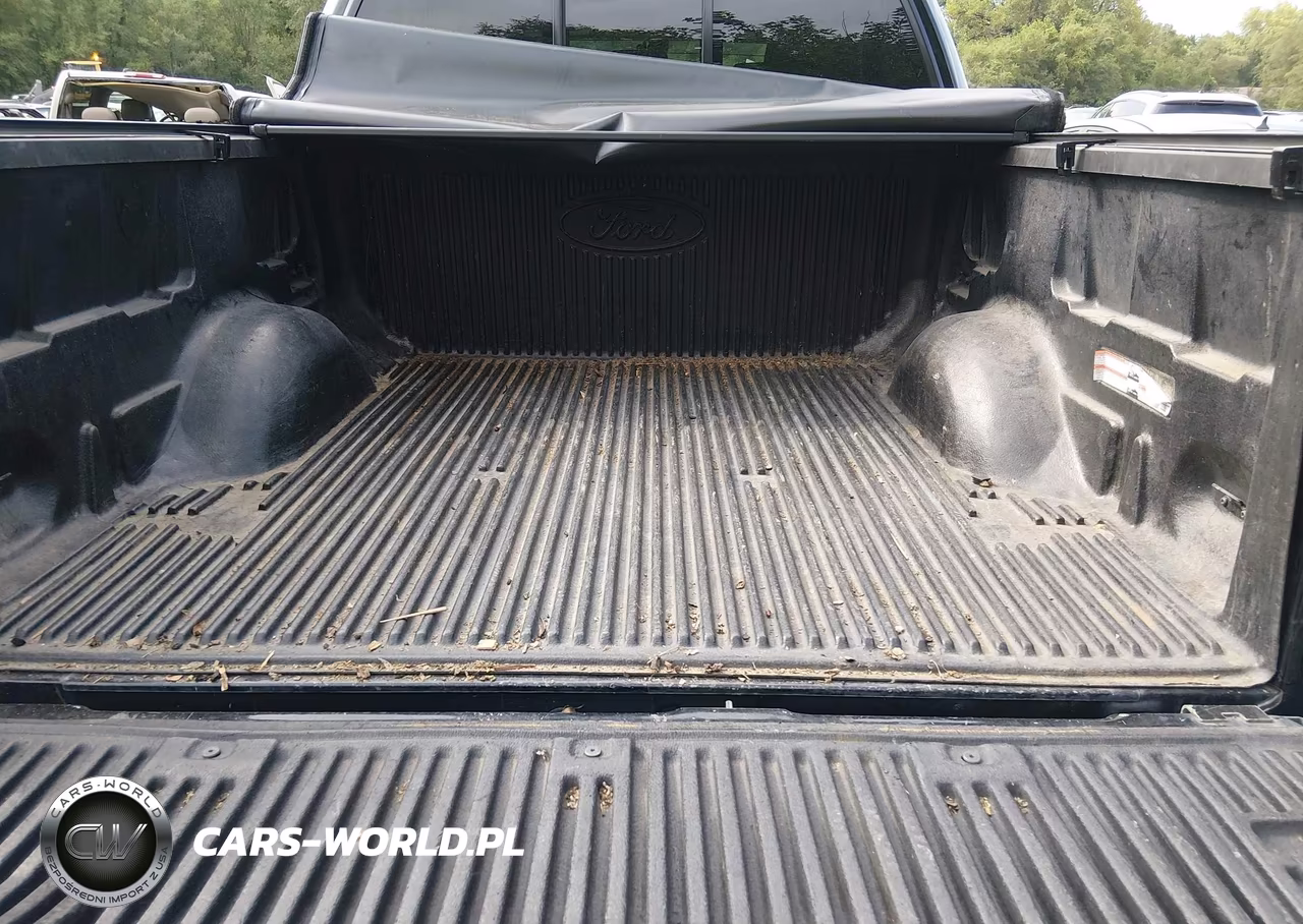 2011 Ford F-150 Platinum VIN:1FTFW1ET0BFD07248 - 18