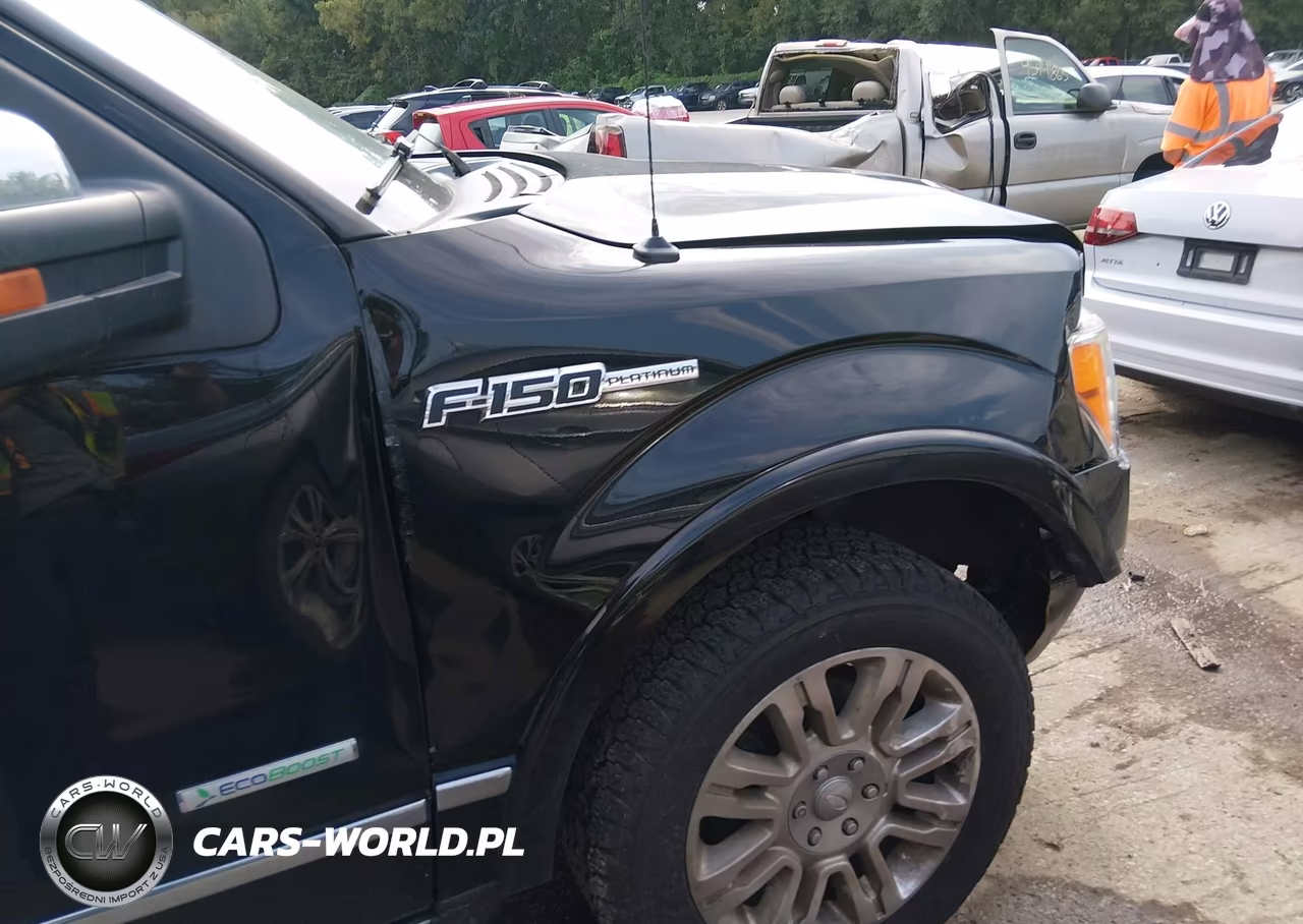 2011 Ford F-150 Platinum VIN:1FTFW1ET0BFD07248 - 19