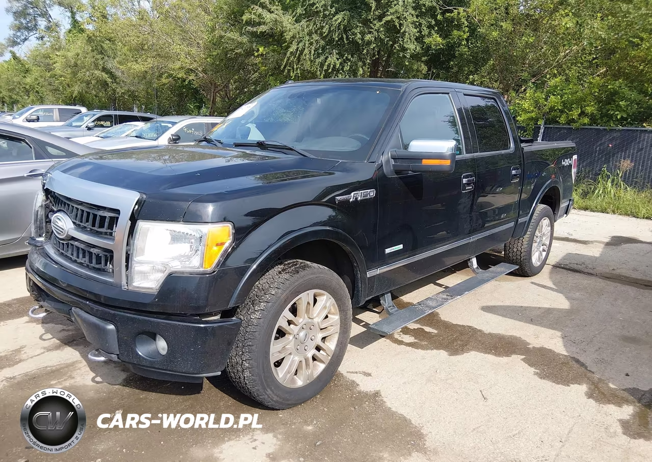 2011 Ford F-150 Platinum VIN:1FTFW1ET0BFD07248 - 2