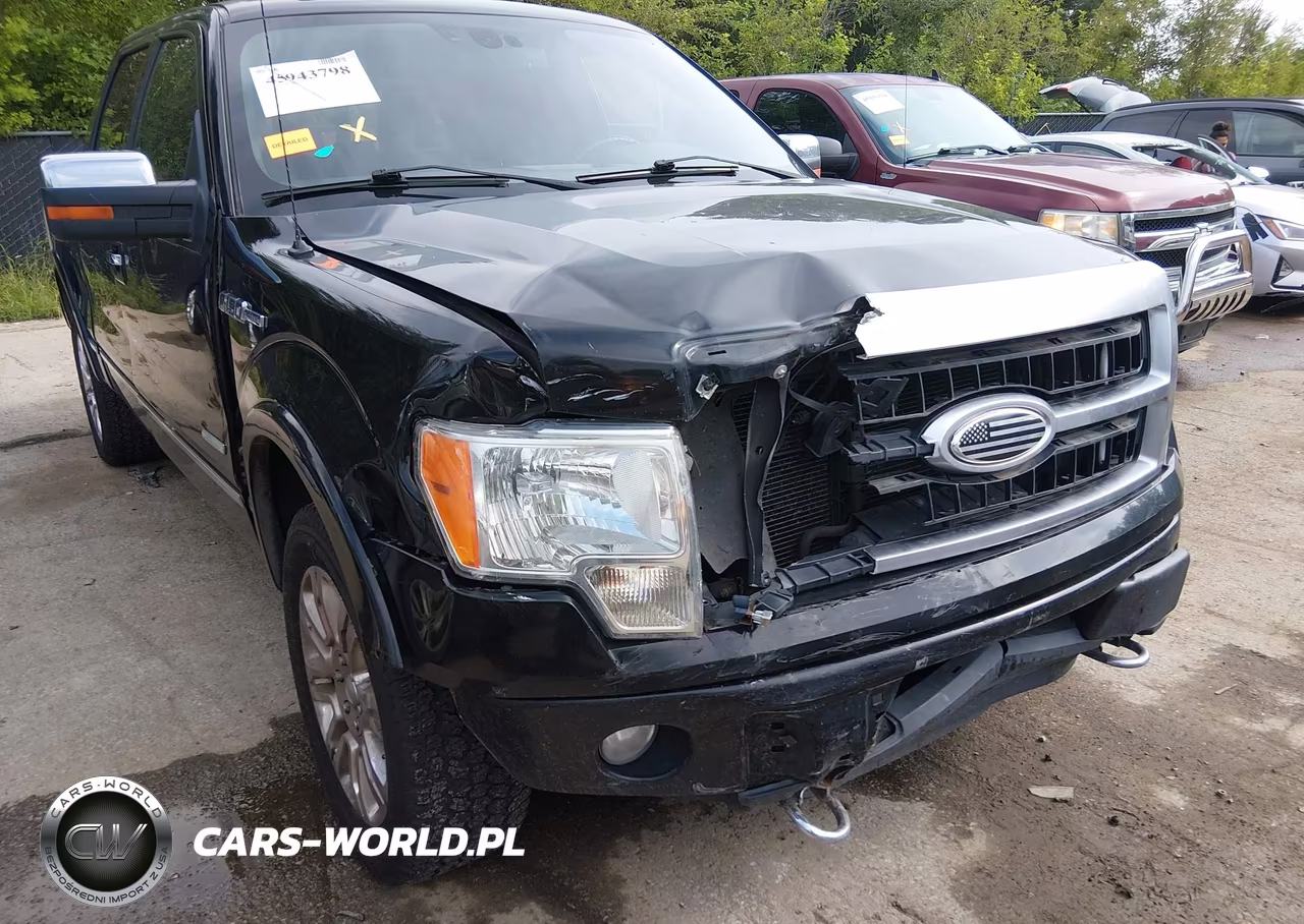 2011 Ford F-150 Platinum VIN:1FTFW1ET0BFD07248 - 20