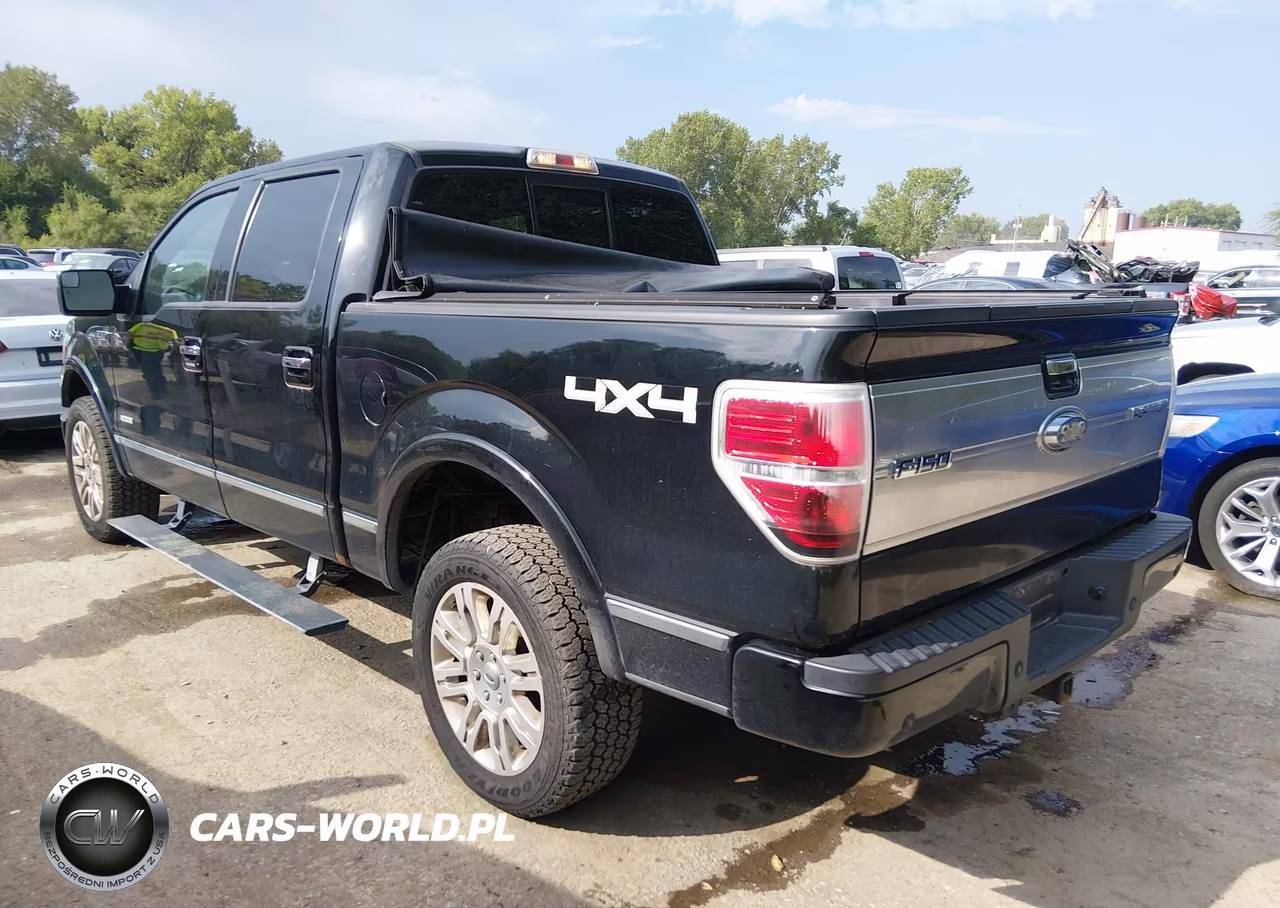2011 Ford F-150 Platinum VIN:1FTFW1ET0BFD07248 - 3