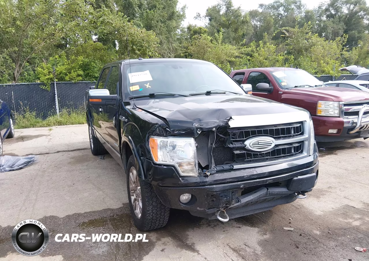 2011 Ford F-150 Platinum VIN:1FTFW1ET0BFD07248 - 6