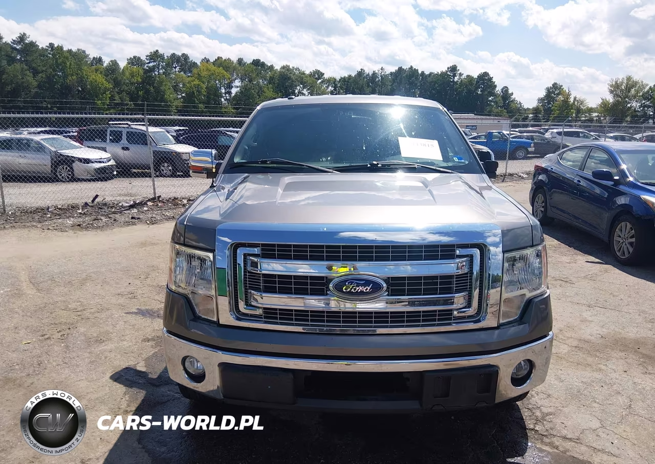 2014 Ford F-150 Xlt VIN:1FTFX1CT5EKD90011 - 12