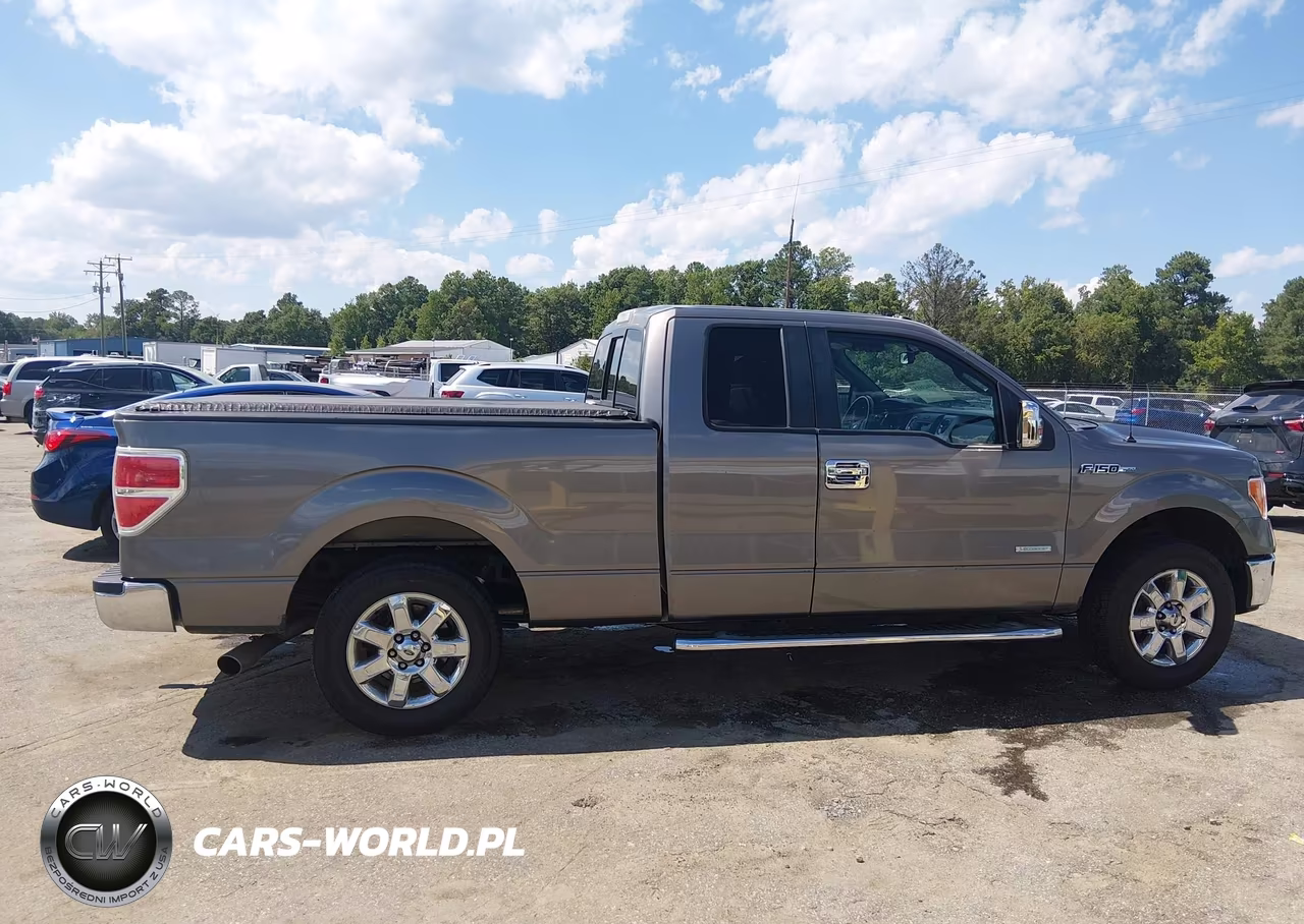 2014 Ford F-150 Xlt VIN:1FTFX1CT5EKD90011 - 13
