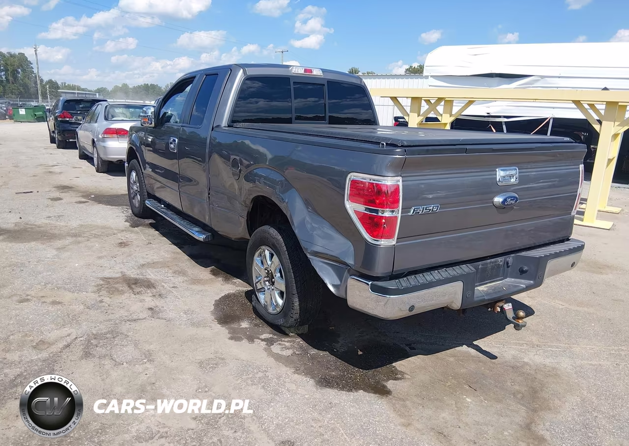 2014 Ford F-150 Xlt VIN:1FTFX1CT5EKD90011 - 3