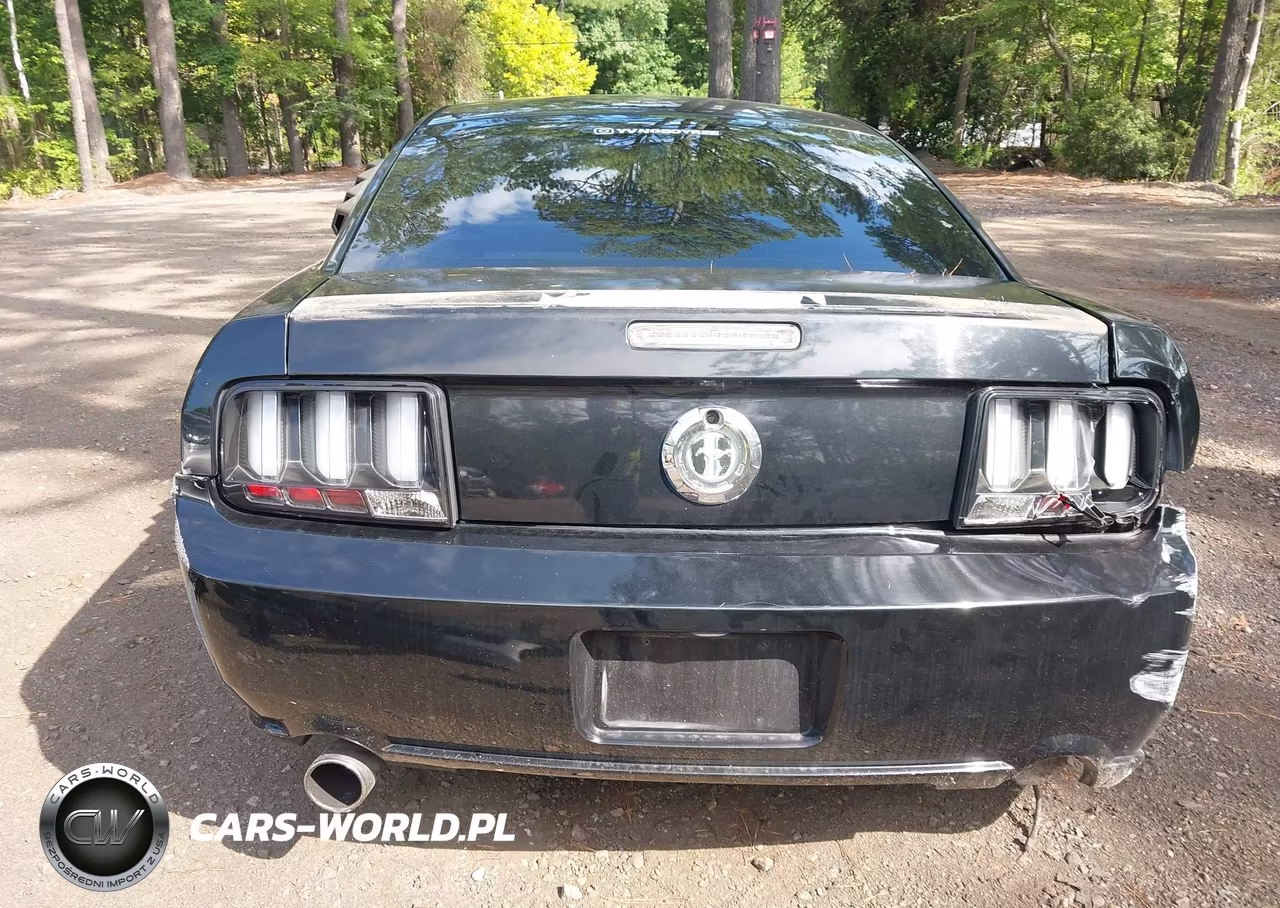 2005 Ford Mustang V6 Deluxe-V6 Premium VIN:1ZVFT80N855239458 - 16