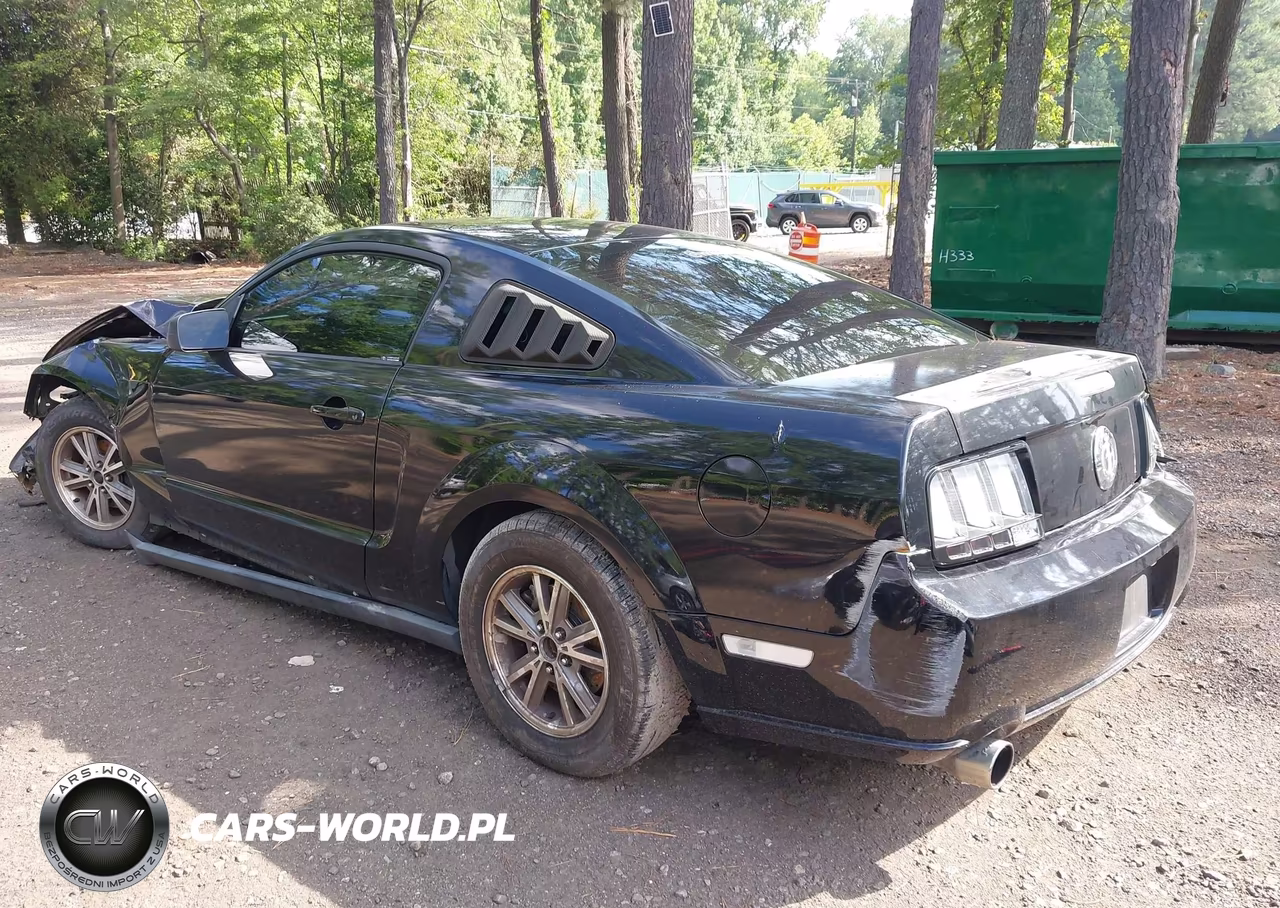 2005 Ford Mustang V6 Deluxe-V6 Premium VIN:1ZVFT80N855239458 - 3