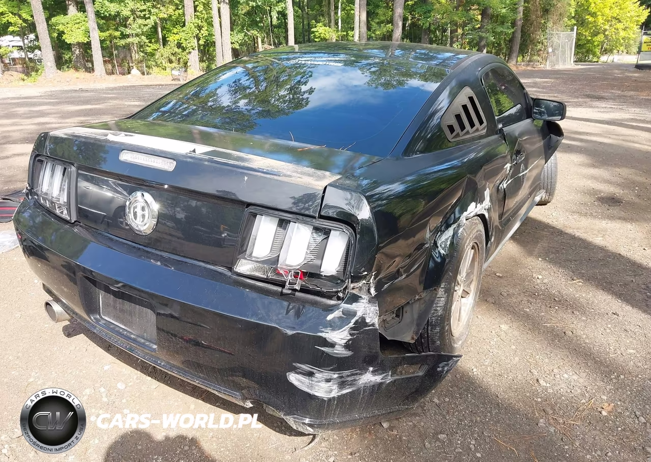 2005 Ford Mustang V6 Deluxe-V6 Premium VIN:1ZVFT80N855239458 - 4
