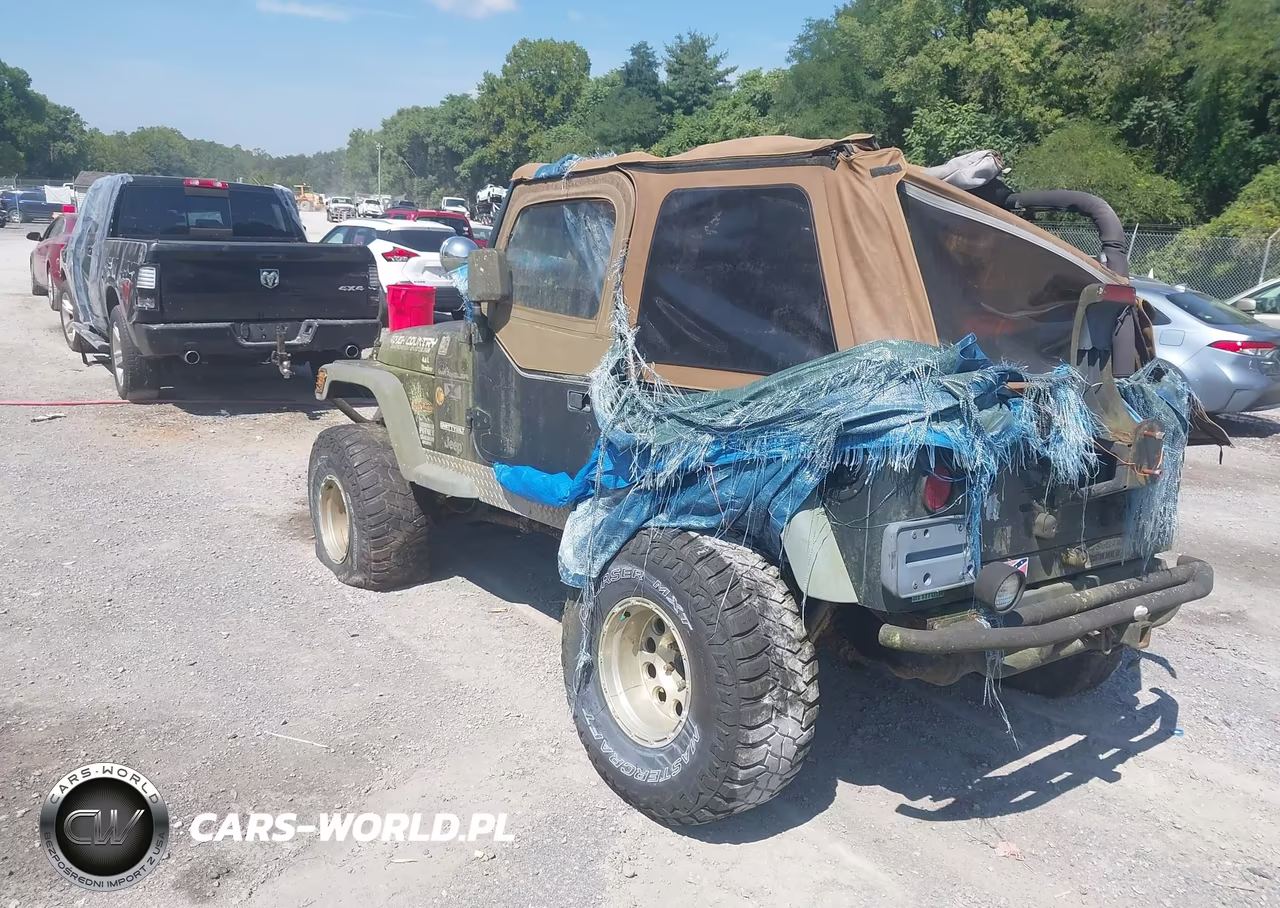 2002 Jeep Wrangler X VIN:1J4FA39S92P756363 - 3