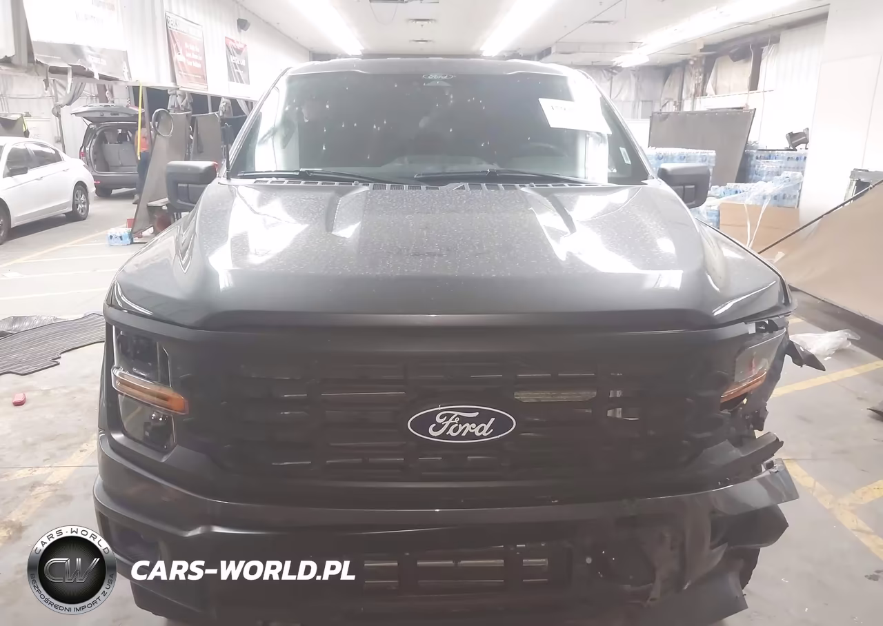 2025 Ford F-150 Stx VIN:1FTEW2LP0SFB67256 - 13