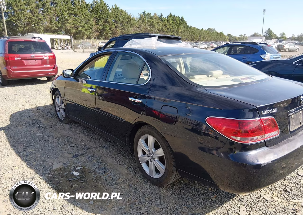 2005 Lexus Es 330 VIN:JTHBA30G955067113 - 3