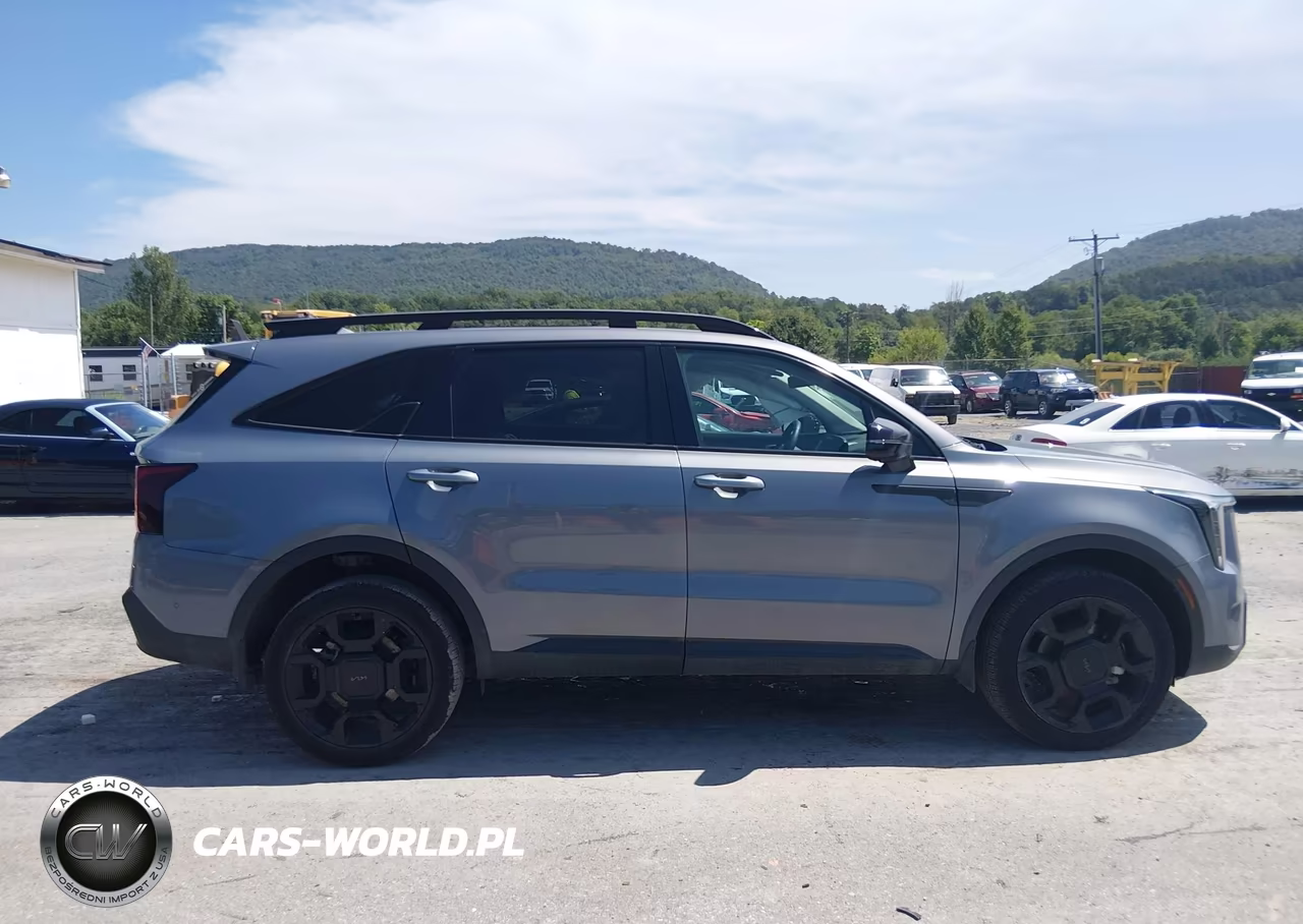 2025 Kia Sorento X-Line Sx VIN:5XYRKDJF2SG391256 - 13
