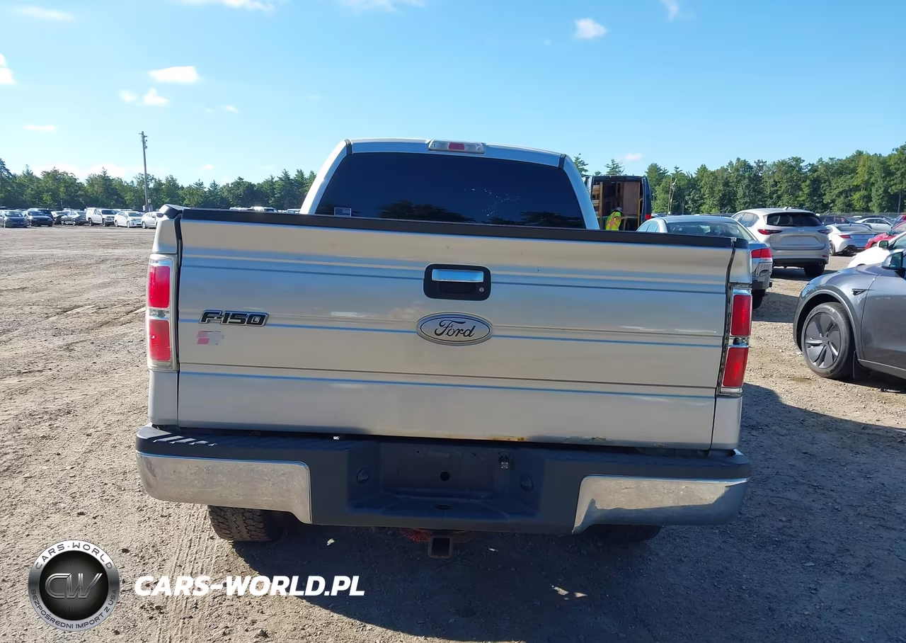 2012 Ford F-150 Xlt VIN:1FTFX1EF0CFB49826 - 17