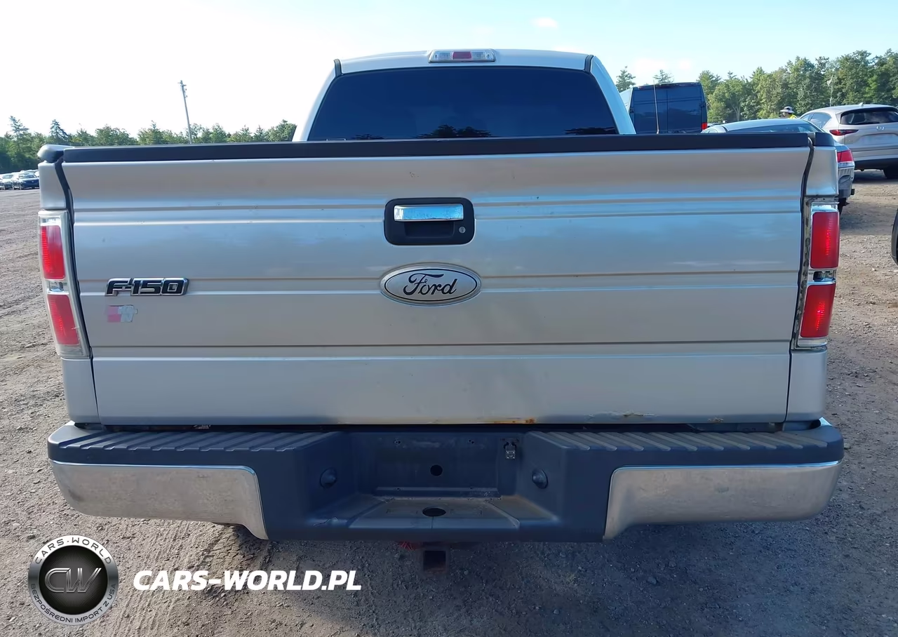 2012 Ford F-150 Xlt VIN:1FTFX1EF0CFB49826 - 20