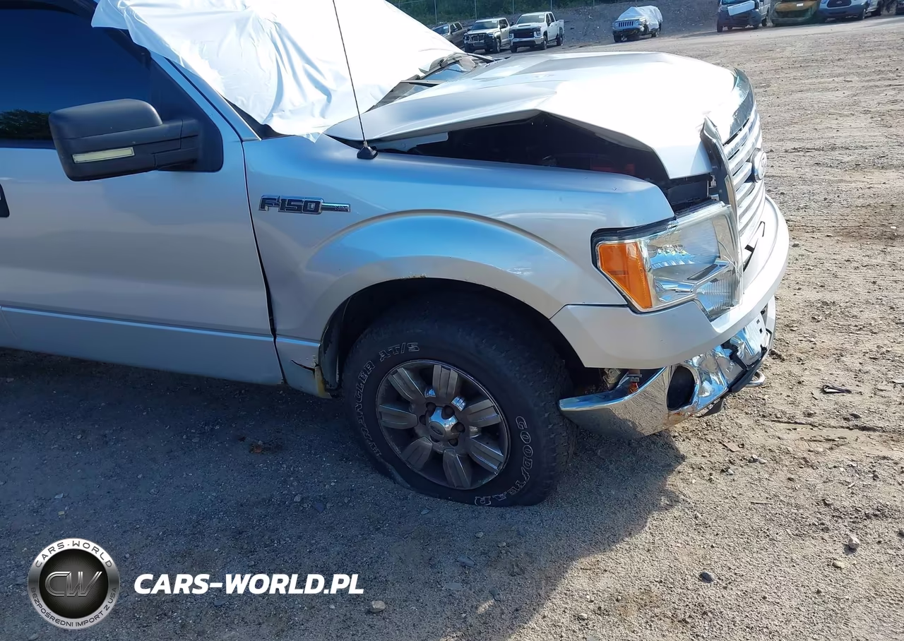 2012 Ford F-150 Xlt VIN:1FTFX1EF0CFB49826 - 22