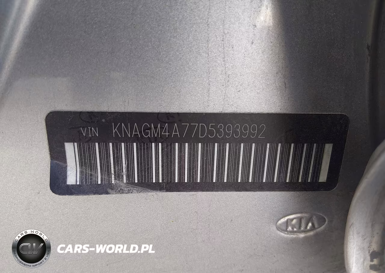 2013 Kia Optima Lx VIN:KNAGM4A77D5393992 - 9