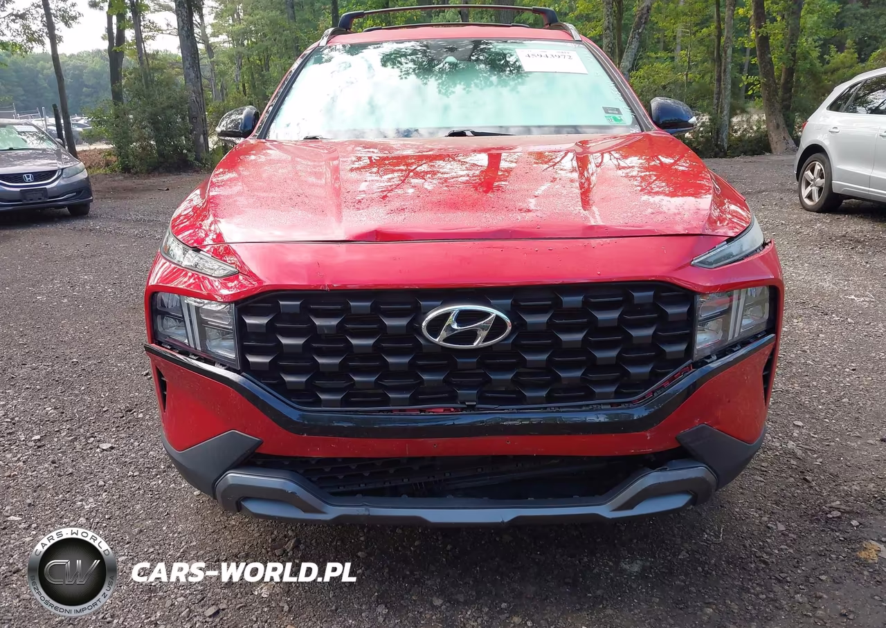 2022 Hyundai Santa Fe Xrt VIN:5NMS6DAJ9NH386284 - 11