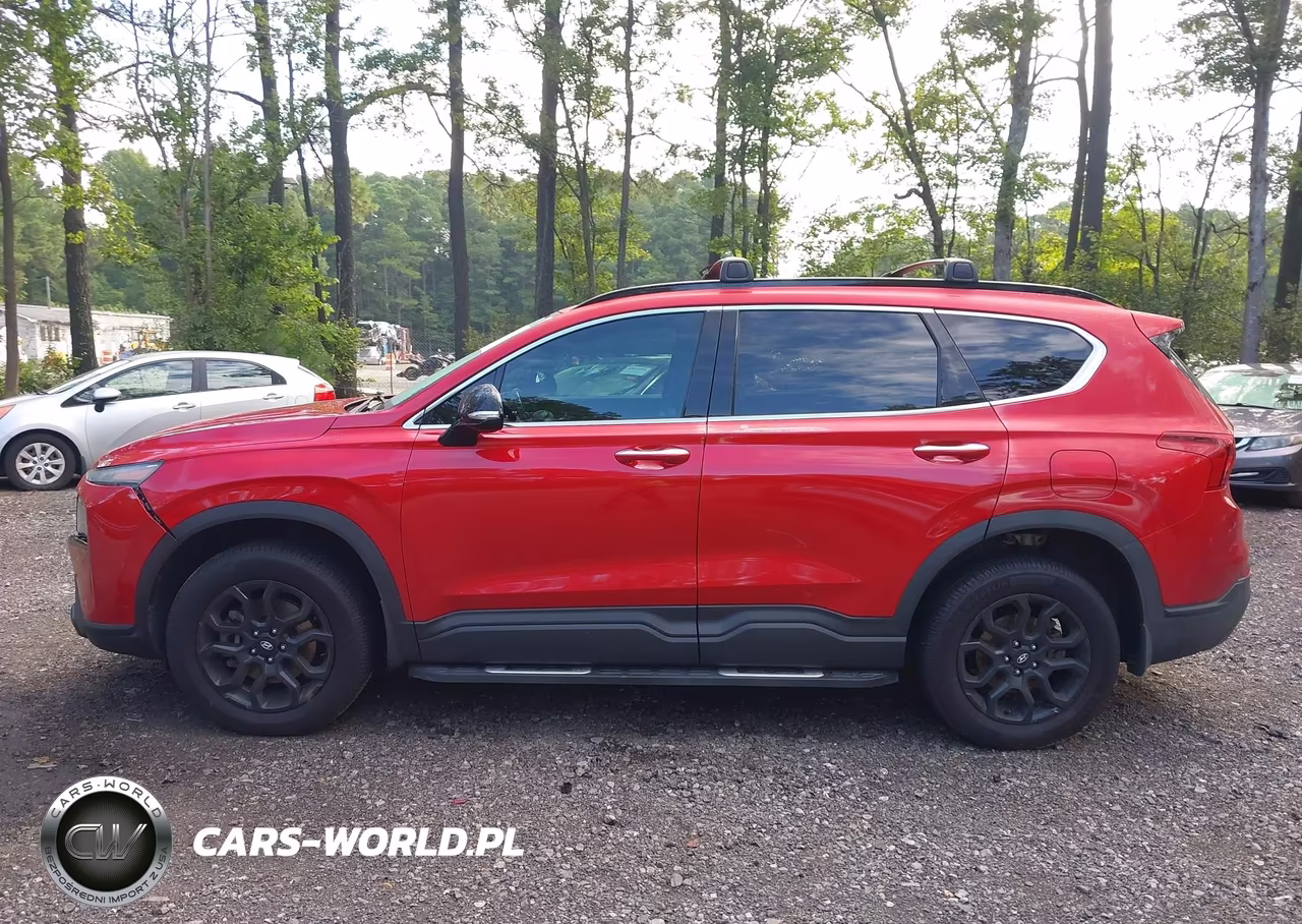 2022 Hyundai Santa Fe Xrt VIN:5NMS6DAJ9NH386284 - 13