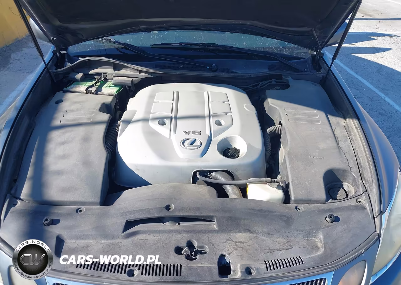 2006 Lexus Gs 300 VIN:JTHBH96S965045737 - 10
