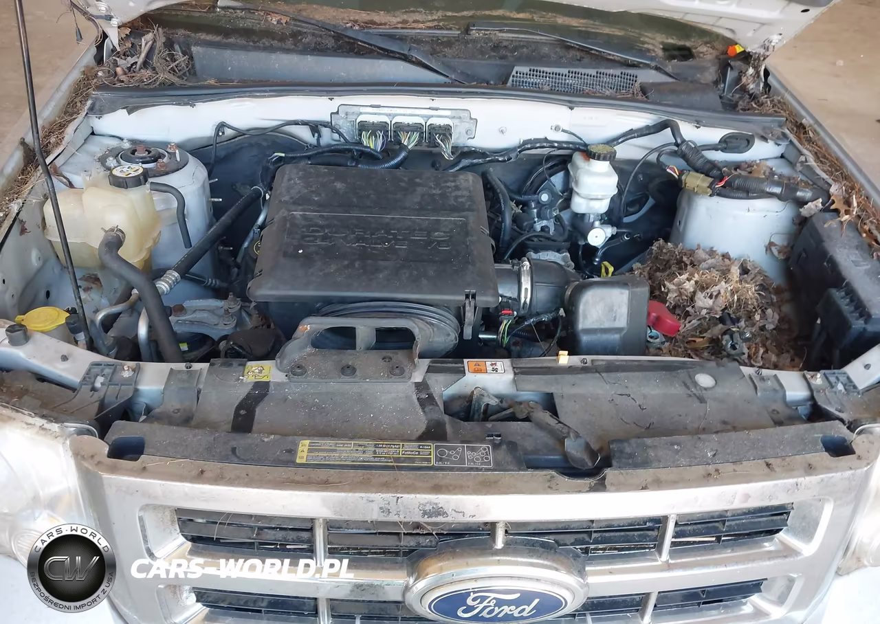 2010 Ford Escape Limited VIN:1FMCU9EG7AKC85731 - 10