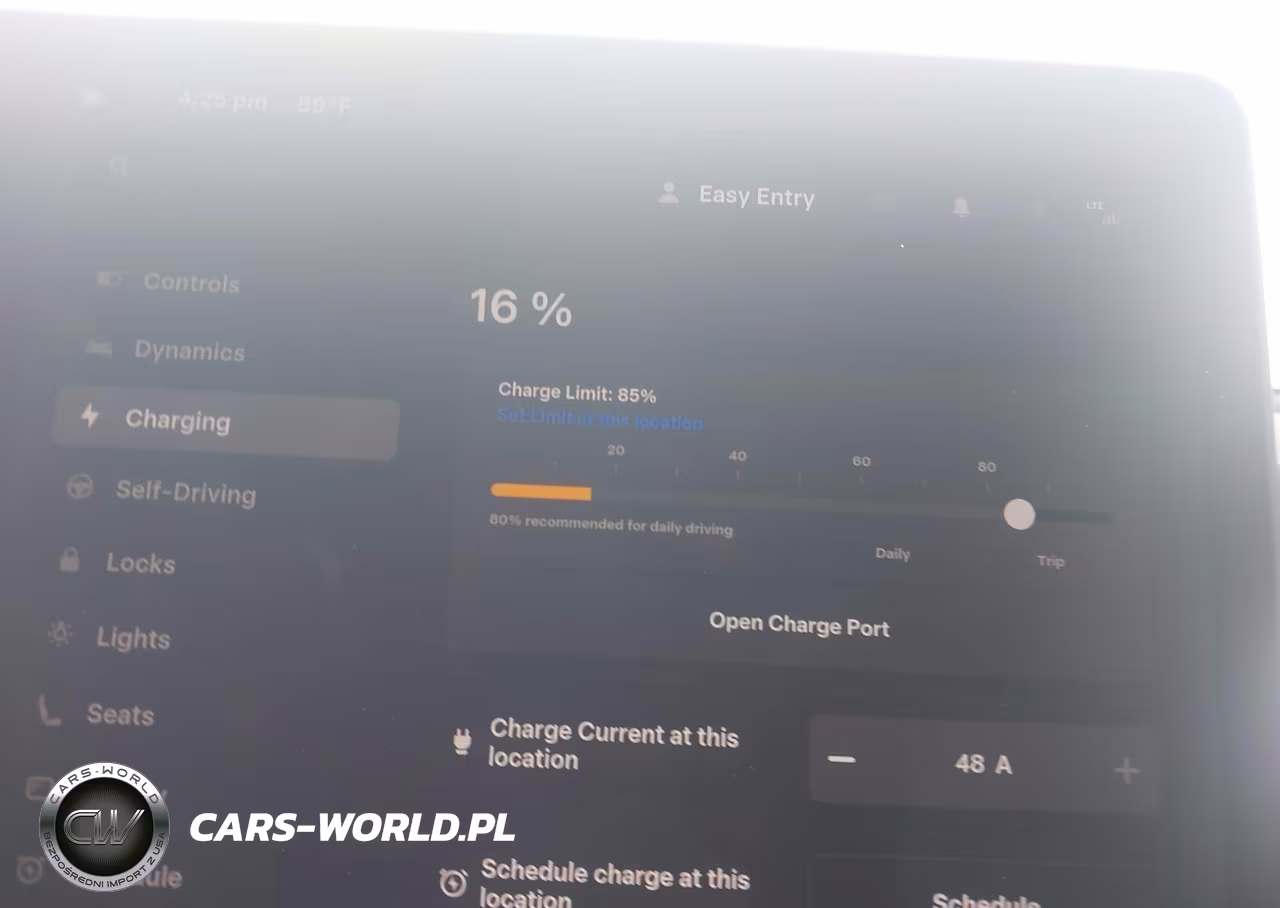 2025 Tesla Model Y Long Range Dual Motor All-Wheel Drive VIN:7SAYGDEE2SF222637 - 17