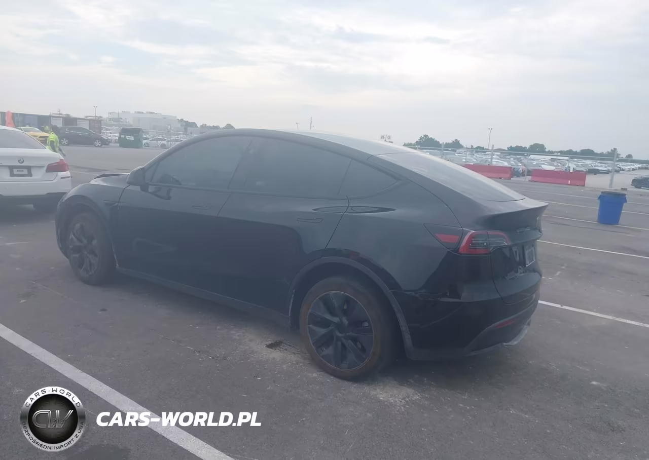 2025 Tesla Model Y Long Range Dual Motor All-Wheel Drive VIN:7SAYGDEE2SF222637 - 3